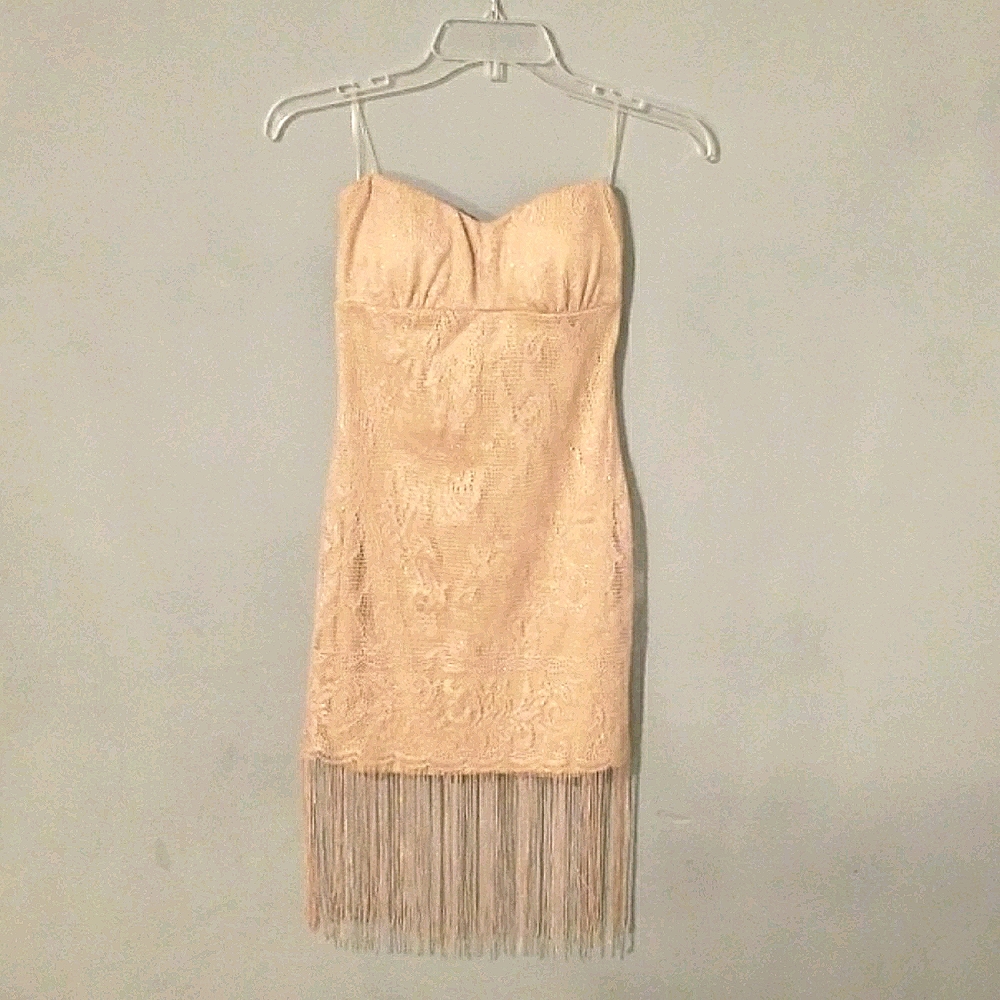 Double zero strapless fringe shimmer pink dress